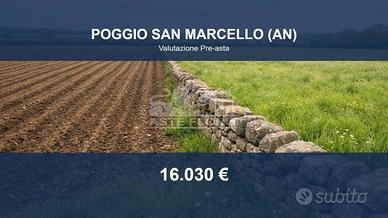 Immobile in asta di 7454 m² a Poggio San Marcello