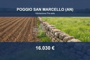 Immobile in asta di 7454 m² a Poggio San Marcello