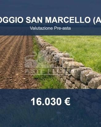 Immobile in asta di 7454 m² a Poggio San Marcello