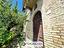 Immagine 11