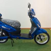 bici a pedalata assistita