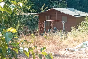 terrenos affittos 