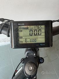 Bicicletta elettrica a pedalata assistita
