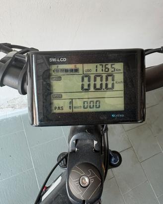 Bicicletta elettrica a pedalata assistita