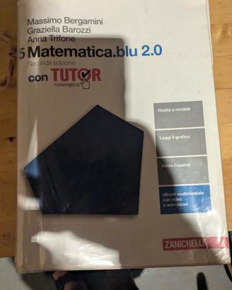 5 Matematica blu
