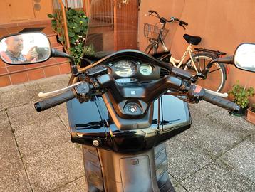 Silver Wing