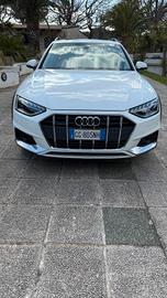 Audi A4 allroad 40 TDI 204 CV S tronic Identity Co