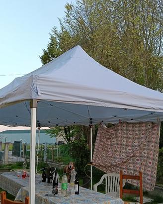 Gazebo 6 x 3 m