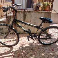 bicicletta MTB