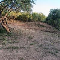 Terreno agricolo