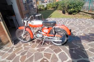 ciclomotore 50 cc