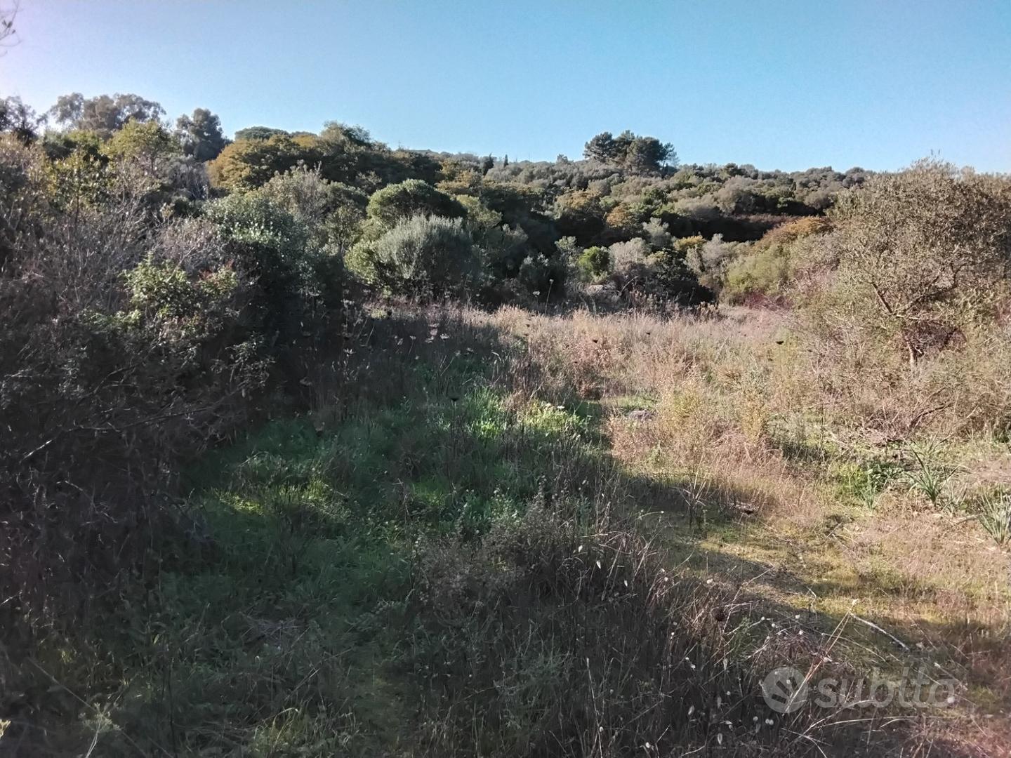 Terreno in Arzachena ( Olbia tempio) - Vista 4