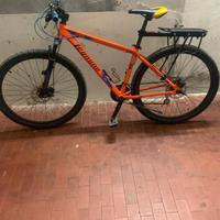 Bici mtb 29