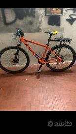 Bici mtb 29