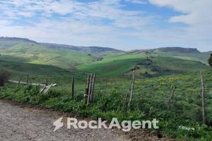 AZIENDA AGRICOLA IN CALASCIBETTA - C/DE CARMINELLO