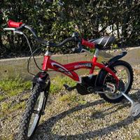 Bicicletta Bimbi