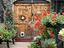 Immagine 7