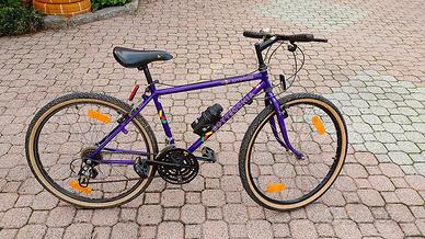 Mountain Bike Bottecchia Wild Adventure
