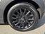 Immagine 8