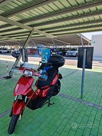 Scooter elettrico FD-Motors-5E