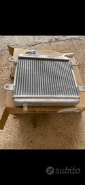 Radiatore alluminio