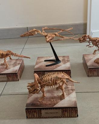 Modellini Scheletri Dinosauro (4)