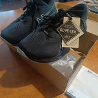 Asics Gel Pulse 15 Goro-tex 