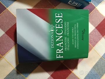 dizionario francese 