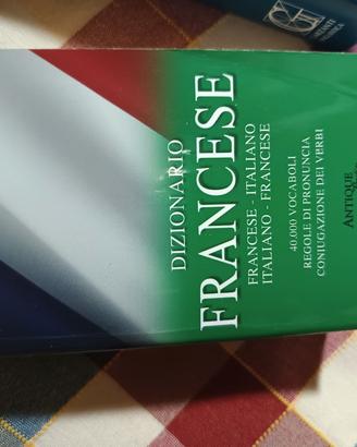 dizionario francese 