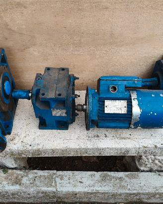 Motori elettrici 