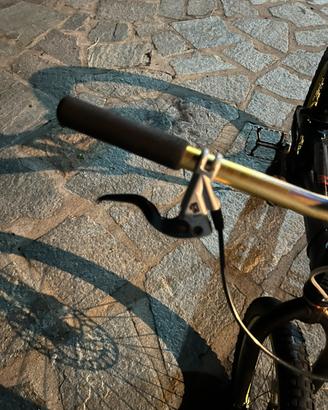 Bici da trial