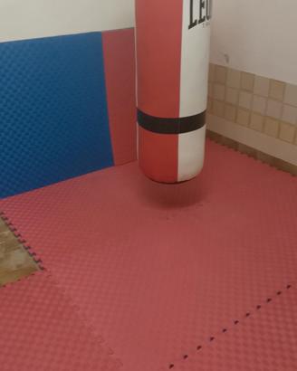 sacco boxe leone + tatami