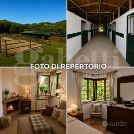 Appartamento Bracciano [Cod. rif 3320166VRG]
