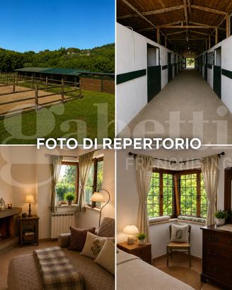 Appartamento Bracciano [Cod. rif 3320166VRG]