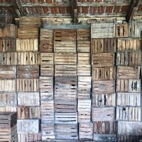 Casse frutta in legno