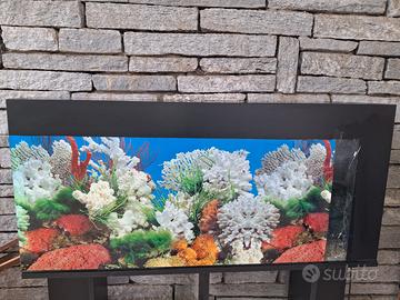 Acquario