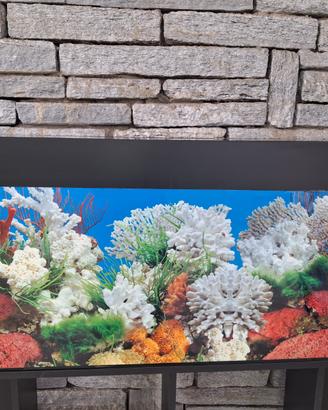 Acquario