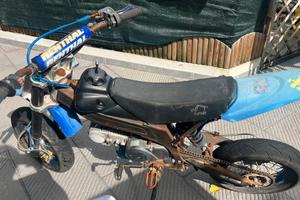 Coppia di PitBike