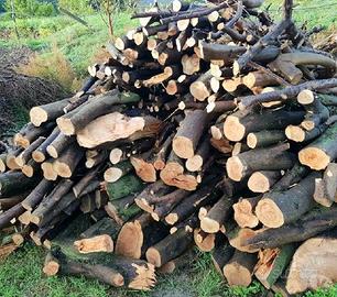 Legna di Ulivo/Olivo da Ardere.