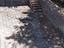 Immagine 19