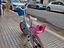 Immagine 2