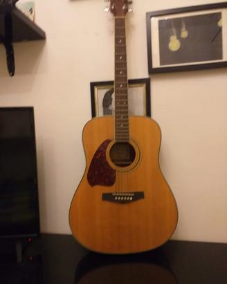 Chitarra acustica Ibanez