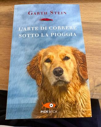 Garth Stein L'arte di correre sotto la pioggia