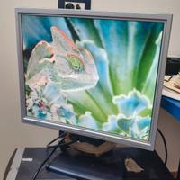 Monitor 15 e 17 pollici