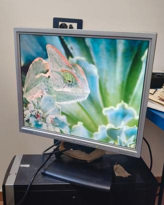 Monitor 15 e 17 pollici