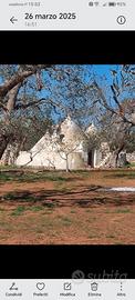 Trullo e ruderi fiabeschi tra Adriatico e Ionio