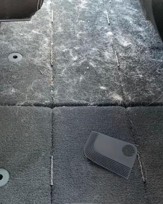 Rullo Rimuovi Peli Cane e Gatto per Divano e