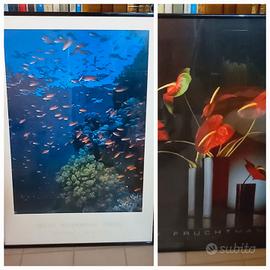 coppia quadri poster  immagini fiori e sottomar