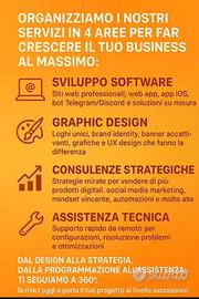 Sviluppatore web - consulente it