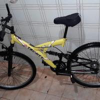 Bici Super Trinity.
Doppio Ammortizzatore.